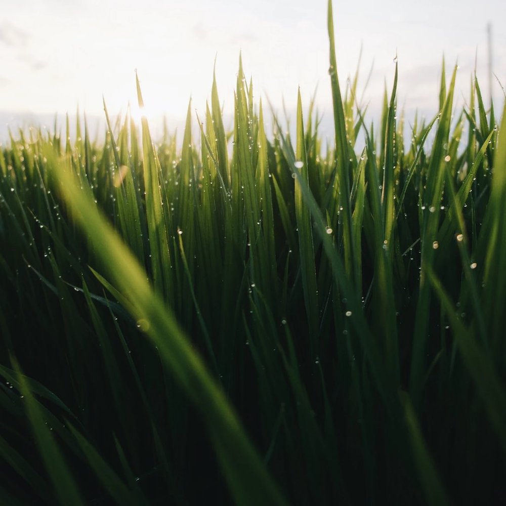 Meet your Posher, i___